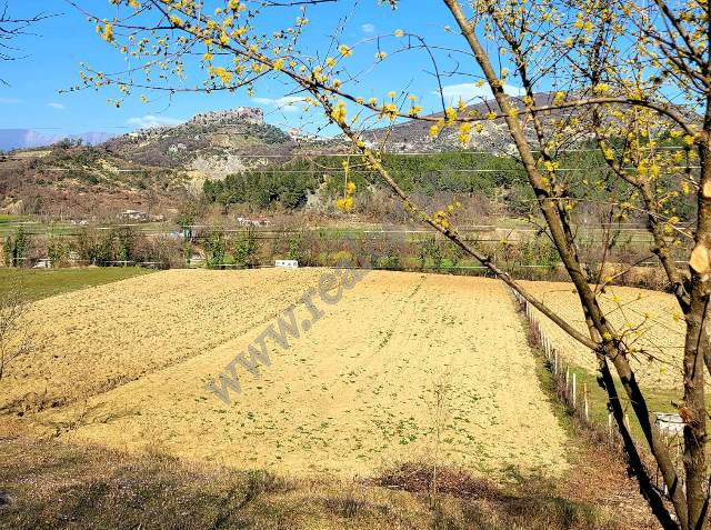 Toke per shitje ne zonen e Petreles ne Tirane